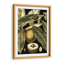 Hojas Tropicales Tranquilas Iv - Vision Studio | Cuadro decorativo de Canvas Lab