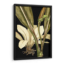 Hojas Tropicales Tranquilas V - Vision Studio | Cuadro decorativo de Canvas Lab