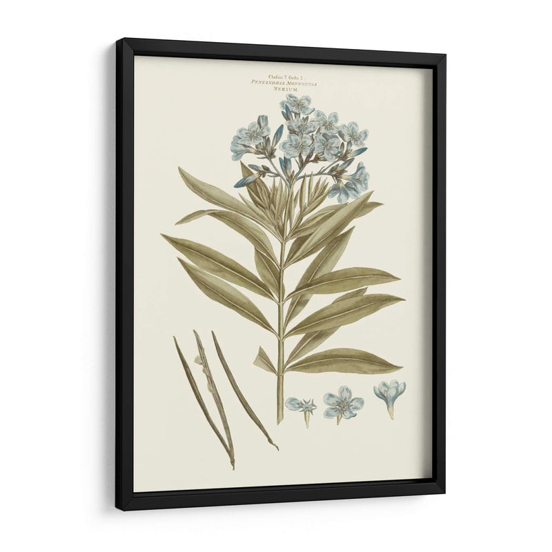 Florales Azules Bashfuls Iii - John Miller | Cuadro decorativo de Canvas Lab