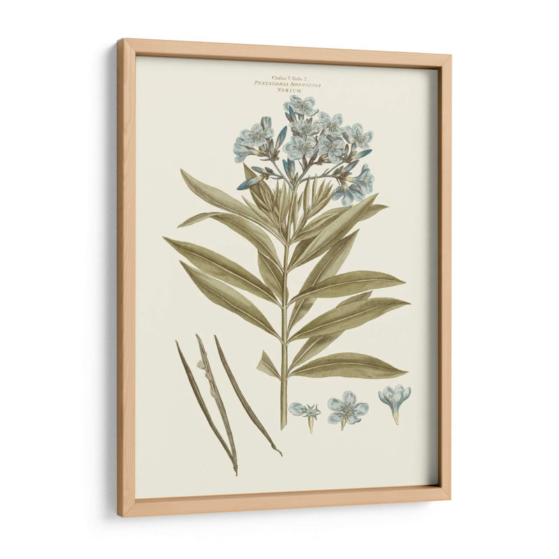 Florales Azules Bashfuls Iii - John Miller | Cuadro decorativo de Canvas Lab