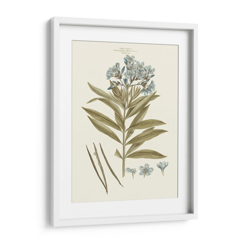 Florales Azules Bashfuls Iii - John Miller | Cuadro decorativo de Canvas Lab