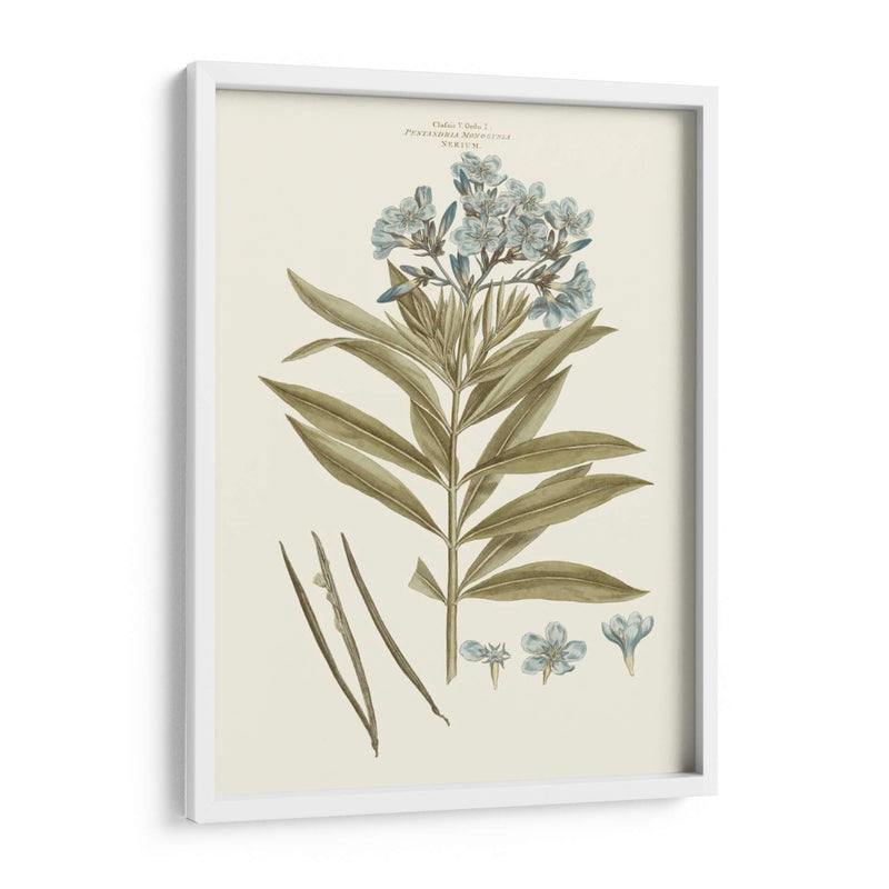 Florales Azules Bashfuls Iii - John Miller | Cuadro decorativo de Canvas Lab