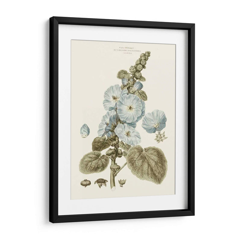 Florales Azules Bashful IV - John Miller | Cuadro decorativo de Canvas Lab