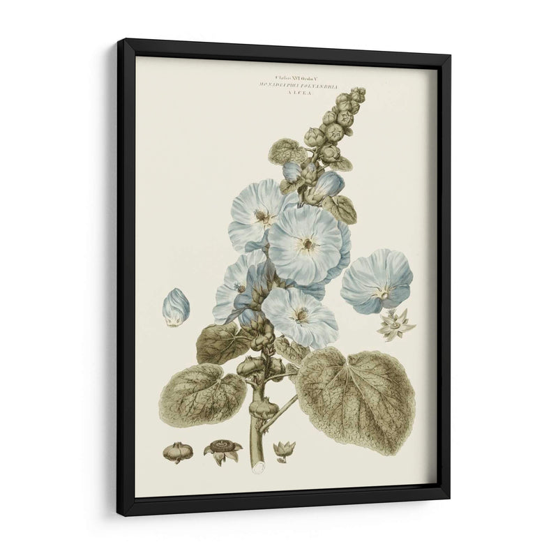 Florales Azules Bashful IV - John Miller | Cuadro decorativo de Canvas Lab