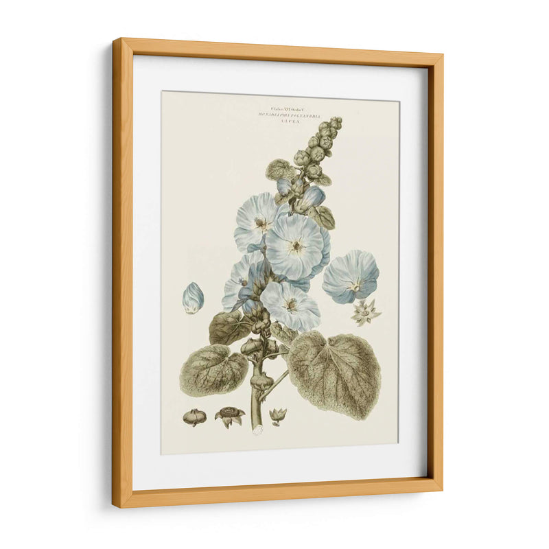 Florales Azules Bashful IV - John Miller | Cuadro decorativo de Canvas Lab