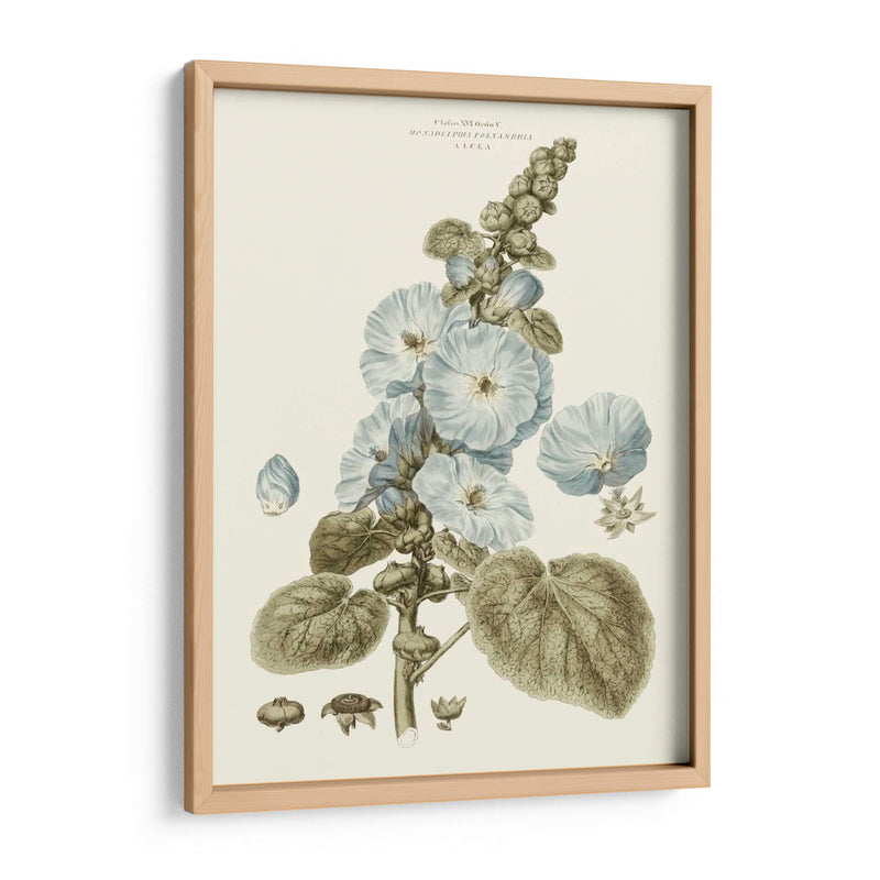 Florales Azules Bashful IV - John Miller | Cuadro decorativo de Canvas Lab