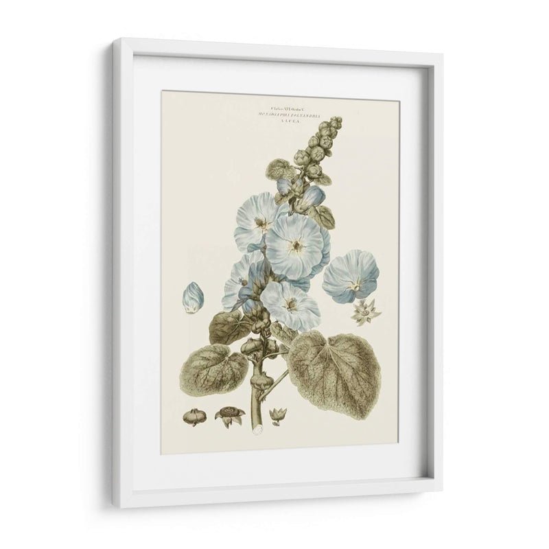 Florales Azules Bashful IV - John Miller | Cuadro decorativo de Canvas Lab