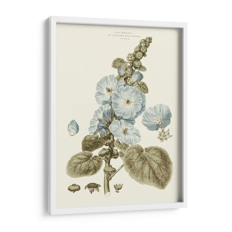 Florales Azules Bashful IV - John Miller | Cuadro decorativo de Canvas Lab