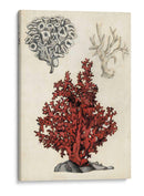 Notas De Campo De La Orilla Del Mar - Naomi McCavitt | Cuadro decorativo de Canvas Lab