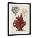 Notas De Campo De La Orilla Del Mar - Naomi McCavitt | Cuadro decorativo de Canvas Lab