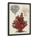 Notas De Campo De La Orilla Del Mar - Naomi McCavitt | Cuadro decorativo de Canvas Lab