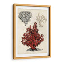 Notas De Campo De La Orilla Del Mar - Naomi McCavitt | Cuadro decorativo de Canvas Lab
