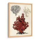 Notas De Campo De La Orilla Del Mar - Naomi McCavitt | Cuadro decorativo de Canvas Lab