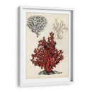 Notas De Campo De La Orilla Del Mar - Naomi McCavitt | Cuadro decorativo de Canvas Lab