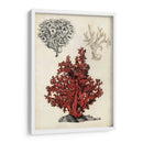 Notas De Campo De La Orilla Del Mar - Naomi McCavitt | Cuadro decorativo de Canvas Lab