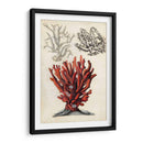 Notas De Campo Junto Al Mar Vi - Naomi McCavitt | Cuadro decorativo de Canvas Lab