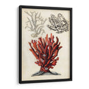 Notas De Campo Junto Al Mar Vi - Naomi McCavitt | Cuadro decorativo de Canvas Lab