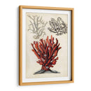 Notas De Campo Junto Al Mar Vi - Naomi McCavitt | Cuadro decorativo de Canvas Lab