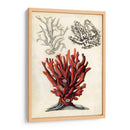 Notas De Campo Junto Al Mar Vi - Naomi McCavitt | Cuadro decorativo de Canvas Lab