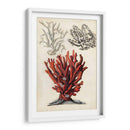 Notas De Campo Junto Al Mar Vi - Naomi McCavitt | Cuadro decorativo de Canvas Lab