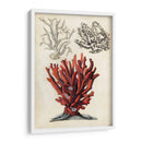 Notas De Campo Junto Al Mar Vi - Naomi McCavitt | Cuadro decorativo de Canvas Lab