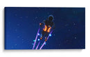 Fortnite startrip | Cuadro decorativo de Canvas Lab