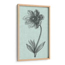 Celadon Beauty Ii - Vision Studio | Cuadro decorativo de Canvas Lab