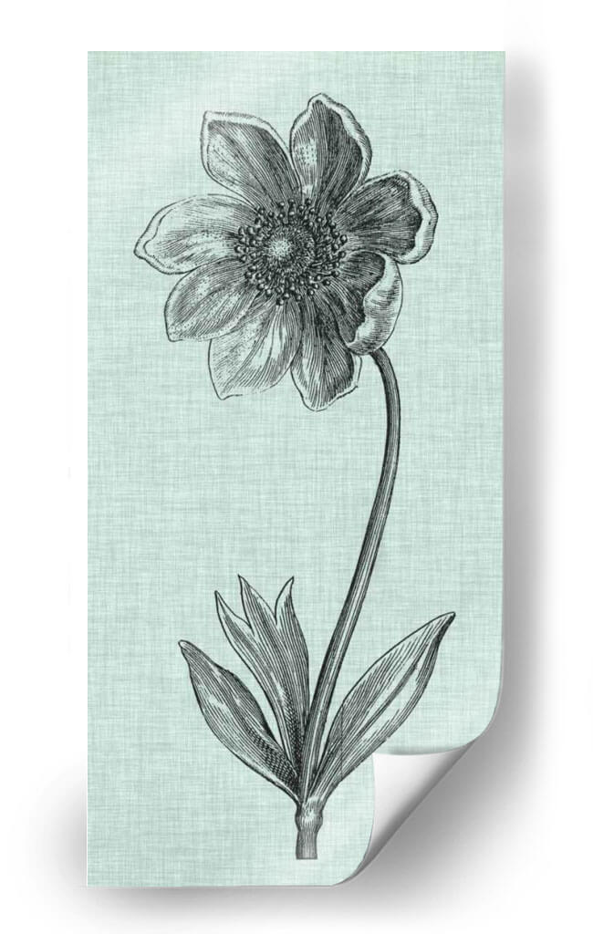 Celadon Beauty Ii - Vision Studio | Cuadro decorativo de Canvas Lab