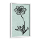 Celadon Beauty Iv - Vision Studio | Cuadro decorativo de Canvas Lab