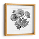 Flores de grafito | Cuadro decorativo de Canvas Lab