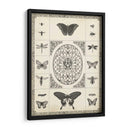 Naturalezas Recuerdo I - Vision Studio | Cuadro decorativo de Canvas Lab