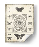 Naturalezas Recuerdo I - Vision Studio | Cuadro decorativo de Canvas Lab