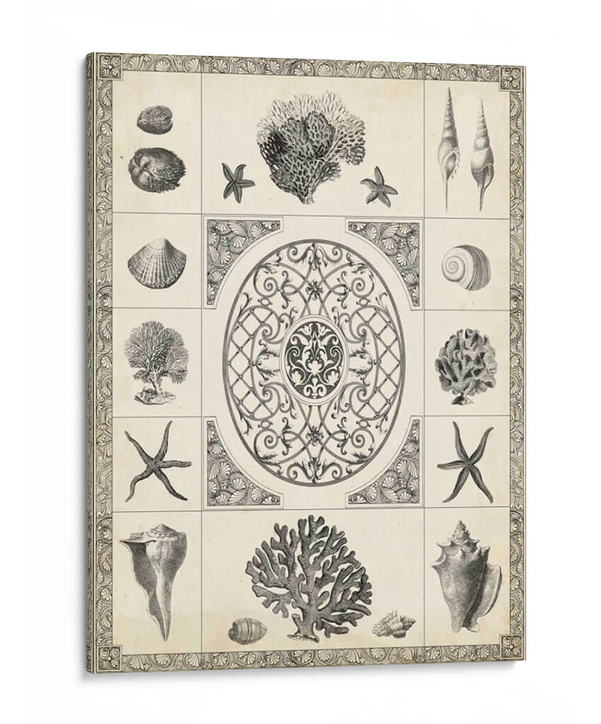 Natures Memento Ii - Vision Studio | Cuadro decorativo de Canvas Lab
