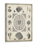 Natures Memento Ii - Vision Studio | Cuadro decorativo de Canvas Lab