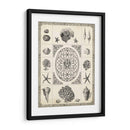 Natures Memento Ii - Vision Studio | Cuadro decorativo de Canvas Lab