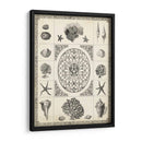 Natures Memento Ii - Vision Studio | Cuadro decorativo de Canvas Lab