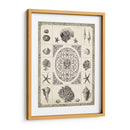 Natures Memento Ii - Vision Studio | Cuadro decorativo de Canvas Lab