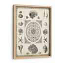 Natures Memento Ii - Vision Studio | Cuadro decorativo de Canvas Lab