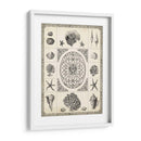 Natures Memento Ii - Vision Studio | Cuadro decorativo de Canvas Lab