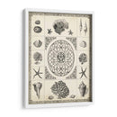 Natures Memento Ii - Vision Studio | Cuadro decorativo de Canvas Lab