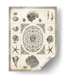 Natures Memento Ii - Vision Studio | Cuadro decorativo de Canvas Lab
