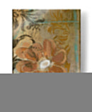 Abstracción Floral Ii - Jennifer Goldberger | Cuadro decorativo de Canvas Lab