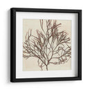 Grillante Seaweed Ii - Vision Studio | Cuadro decorativo de Canvas Lab