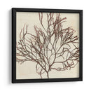 Grillante Seaweed Ii - Vision Studio | Cuadro decorativo de Canvas Lab
