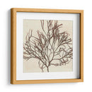 Grillante Seaweed Ii - Vision Studio | Cuadro decorativo de Canvas Lab