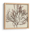 Grillante Seaweed Ii - Vision Studio | Cuadro decorativo de Canvas Lab