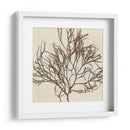 Grillante Seaweed Ii - Vision Studio | Cuadro decorativo de Canvas Lab