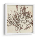 Grillante Seaweed Ii - Vision Studio | Cuadro decorativo de Canvas Lab