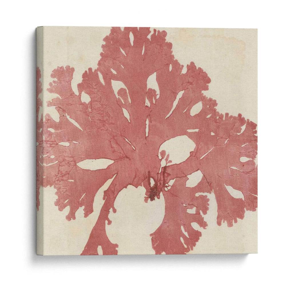 Grillante Seaweed V - Vision Studio | Cuadro decorativo de Canvas Lab