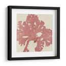 Grillante Seaweed V - Vision Studio | Cuadro decorativo de Canvas Lab